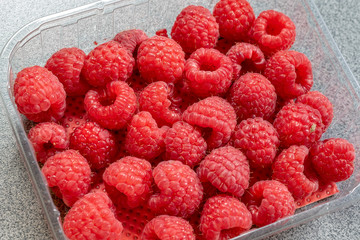 Friche reife geerntete Himbeeren in einer durchsichtigen Plastikschale aus dem Supermarkt