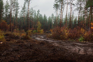 Ukraine Donbass military conflict armed forces and tanks to protect freedom and independence