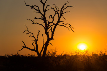 Sunset on Kruger NP, South Africa