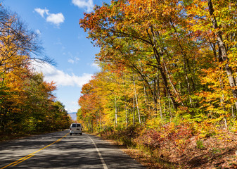Follow the van through autumn forest road