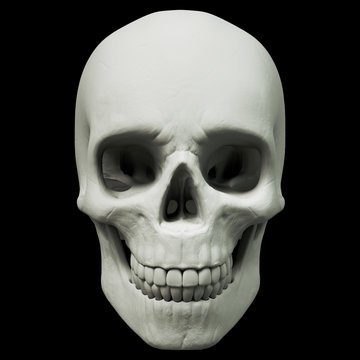 Human skull over black. 3d rendering