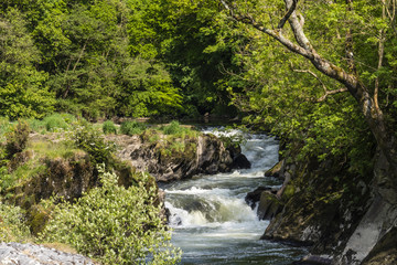 Water flowing over at Cenarth Waterfalls Carmarthenshire Wales