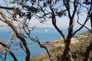 mer