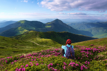 The girl in cap and with a back sack is sitting among the bushes of rhododendron flowers. The landscape with the high mountains. Green meadows. Sky with clouds.