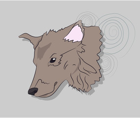 dog portrait profile, look down