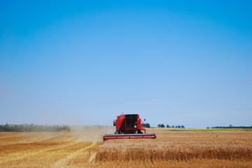 Combine Wheat Harvest