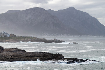 Hermanus whale path, South Africa