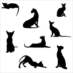 Cats in different poses, silhouettes. The cat lies, sits, stretches its back, hisses, plays, goes. Graceful animal. Use printed materials, signs, items, websites, maps, posters, postcards, 