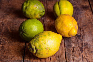 Zitronen auf Holztisch Rustikal