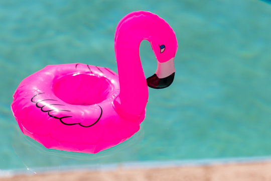 floating flamingos in pool