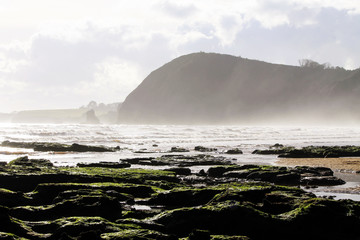 Sidmouth beach