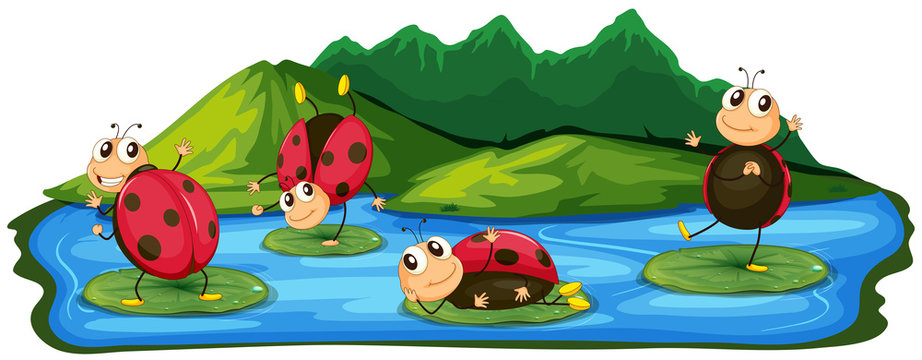 Happy Ladybug Playing at Lake
