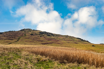 Wheat Grass And Iconic Scottish Mountain