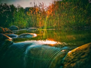 На пеке