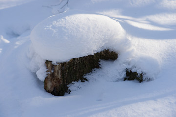 Snow-covered stump