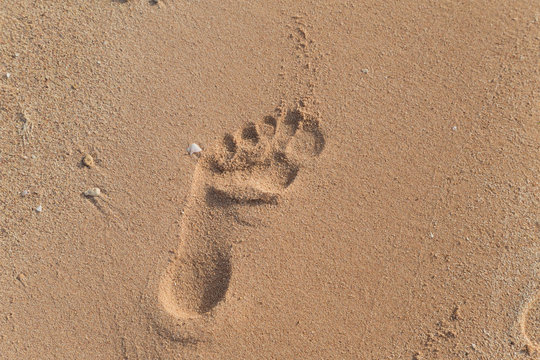 One human footprint in sand of summer sandy beach in morning soft sunlight. Horizontal color image.