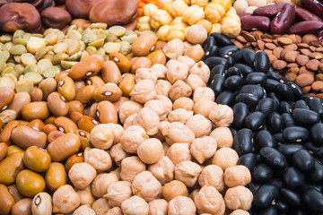 set of legumes isolated