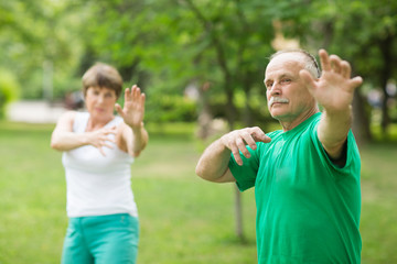 Obraz premium Senior couple practice Tai Chi Chuan in a park. Chinese management skill Qi's energy.