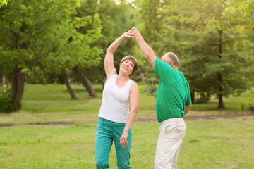 Fototapeta premium Senior couple dancing in park on sunny day