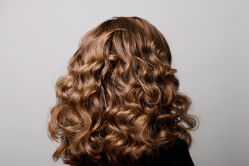 Female hairstyle long curls on the head of the brown-haired woman back view at the gray background turning the head to the right.
