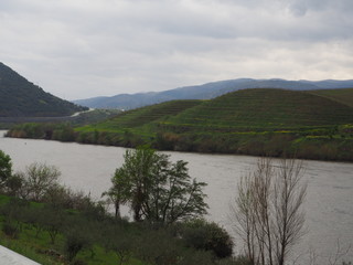 rio douro