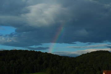 Regenbogen