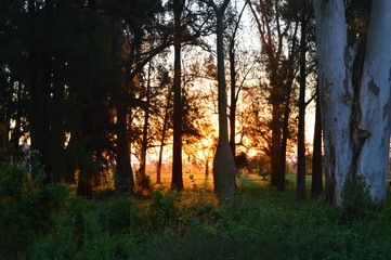 naturaleza