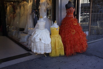 Obraz premium mode flamenvo