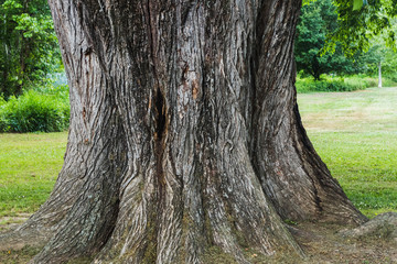 Scenics in Knoxville Tennessee