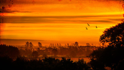 The sunrise shows the way to the rest of the day