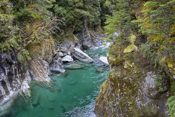 Fototapeta na wymiar Beautiful blue river in the Mountain, Blue Pools Walk, NZ