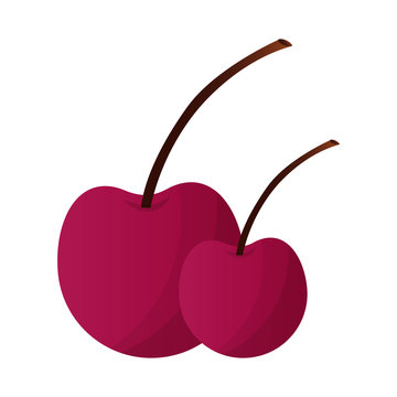 cherry fruit isolated icon
