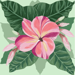 Vector. Flowers, leaves and buds of plumeria.Watercolor background. Abstract wallpaper with floral motifs.  Wallpaper.  Use printed materials, signs, posters, postcards, packaging.