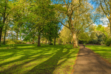 Unrecognizable person cycling in the Park on a Sunny Day with trees and vegetation. London, UK