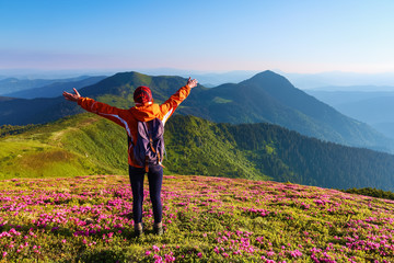 The lawn with the nice bushes of rhododendrons. The tourist with back sack rising up her arms hugging the mountains. Summer landscape. Location the Carpathian Mountains, Marmarosy, Ukraine.