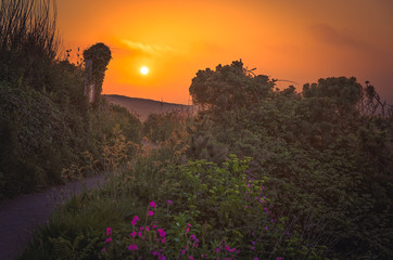 Fototapety na wymiar - Fototapeta24.pl