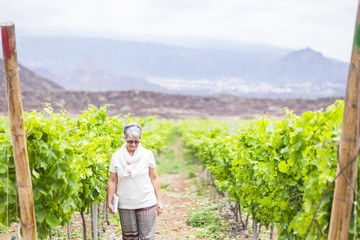 beautiful caucasian senior adult woman walk in the country yard near the new next wine production. loneliness and vacation for mature people