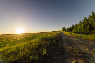 road at sunset near the forest