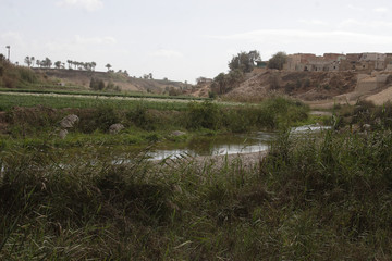 Grass and river landscape