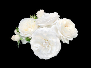beautiful bouquet of white roses