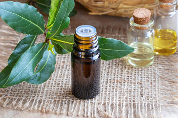 A bottle of bay leaf essential oil with fresh bay leaves