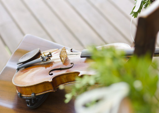 Violin. Violin outdoors. Live music. Wedding.Musician for the wedding.Violin under the open sky