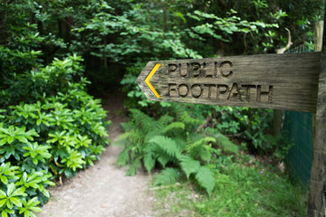 Wooden fingerpost public footpath sign pointing towards a path that goes off into a wood, in West Sussex, England, UK.