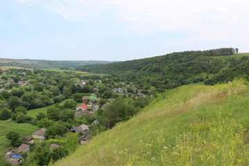 Hills turn green in the middle of summer