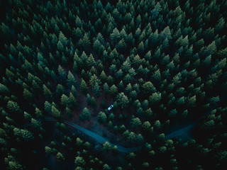 Vanlife Camping Forest Aerial