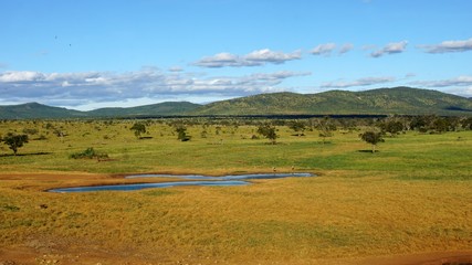 Fototapeta premium water whole with kenyan nature