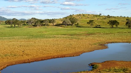 water whole with kenyan nature