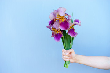 Bright bouquet of flowers irises on a blue background holding a hand