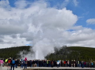 Obraz premium Landscape in Yellowstone National Park