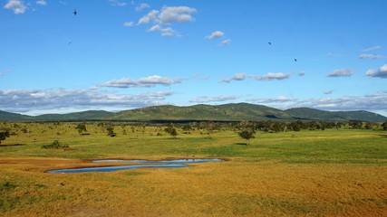 water whole with kenyan nature